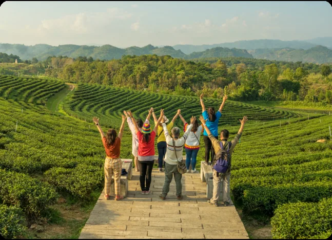 Friends celebrating together during a journey