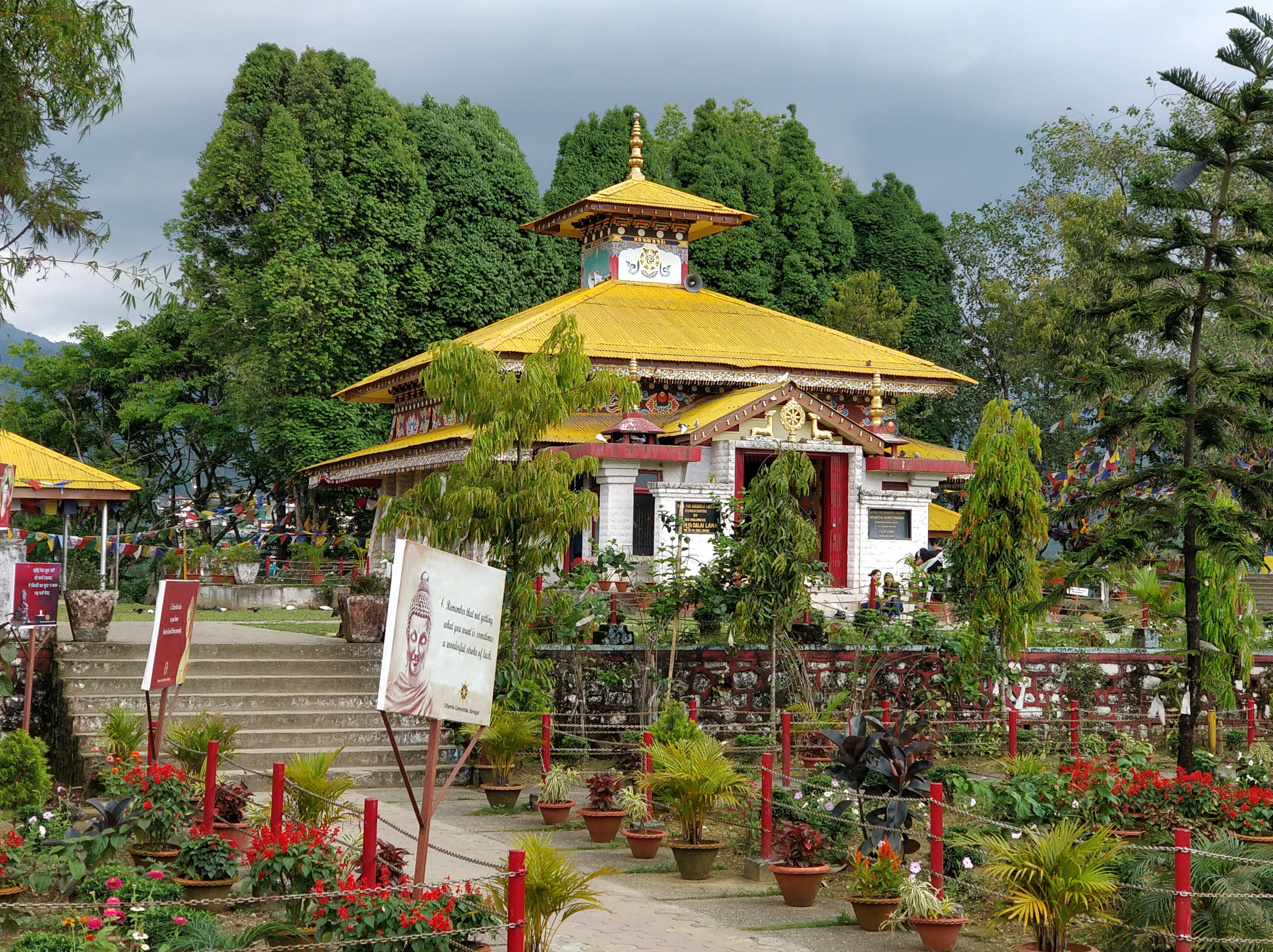 Ziro Festival | India's Greatest Eco-Friendly Outdoor Festival