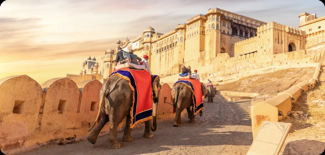 Culture and History