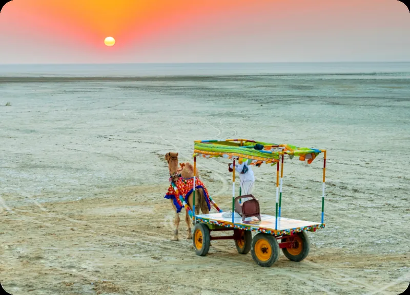 White Horizons: Rann of Kutch